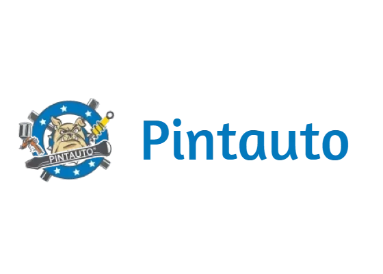 Pintauto